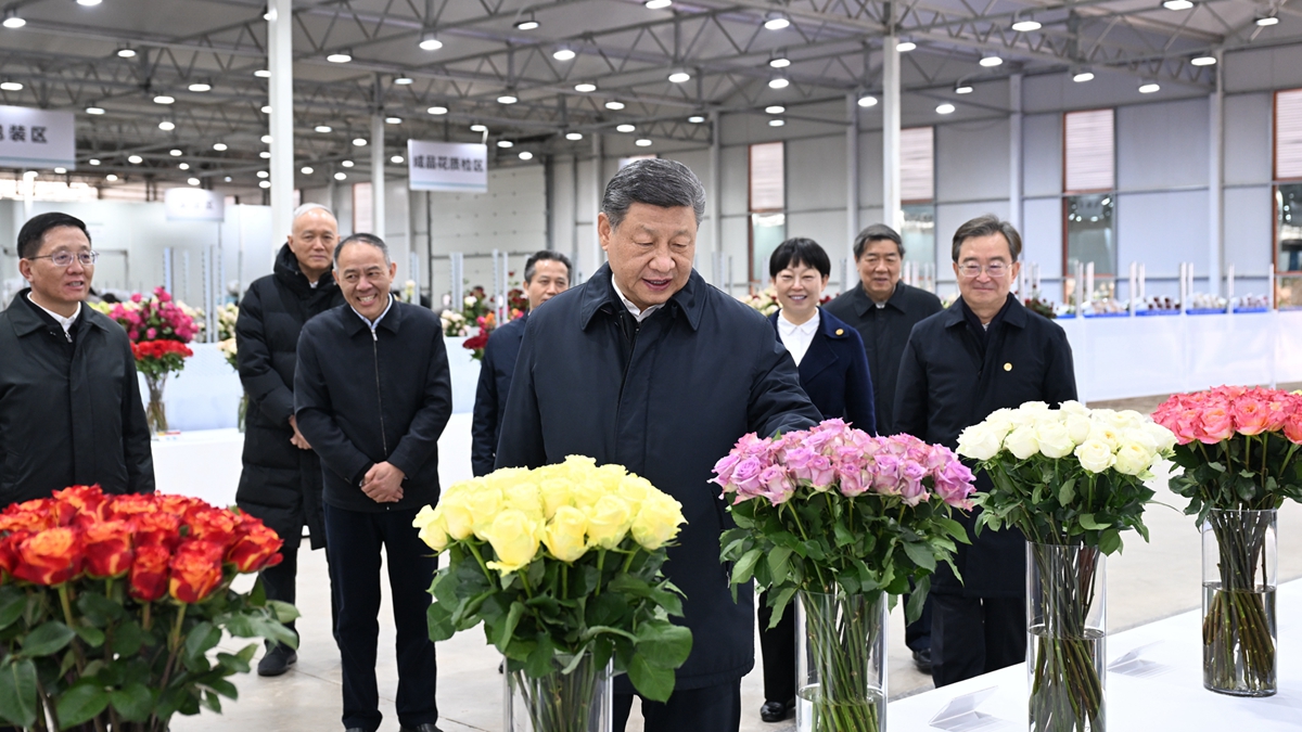 習(xí)近平在云南考察